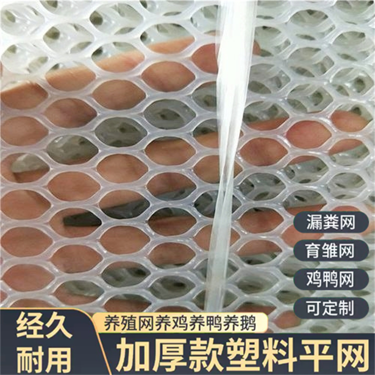 特信 质量放心 平台网 养鸡笼子家用养殖专用网
