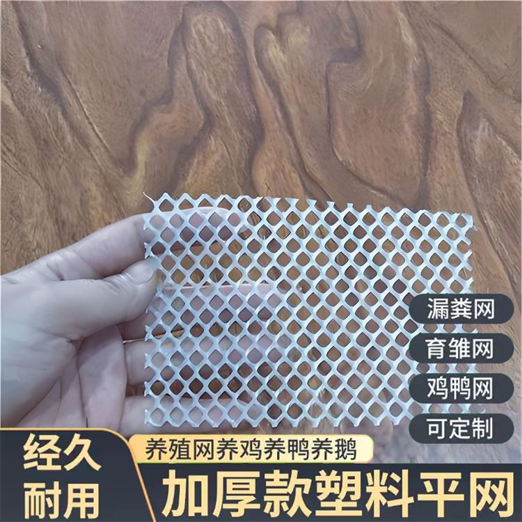 特信 大棚水产养殖网 质量可靠 鸡鸭垫底漏粪网