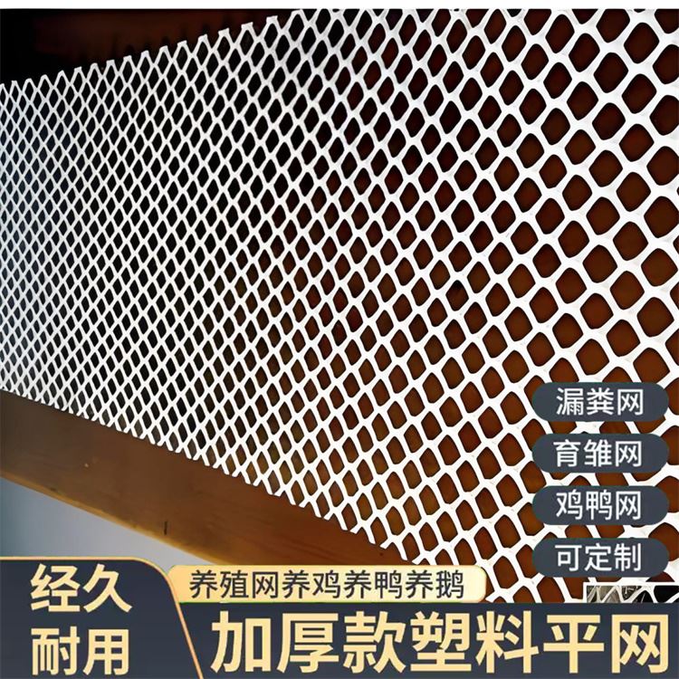 特信 养鸡笼子家用养殖专用网 厂家直供 阳台床垫网