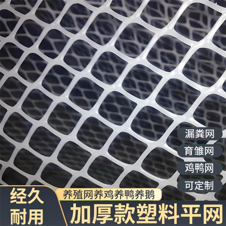 特信 稳固耐用 塑胶原料网 养鸡笼子家用养殖专用网