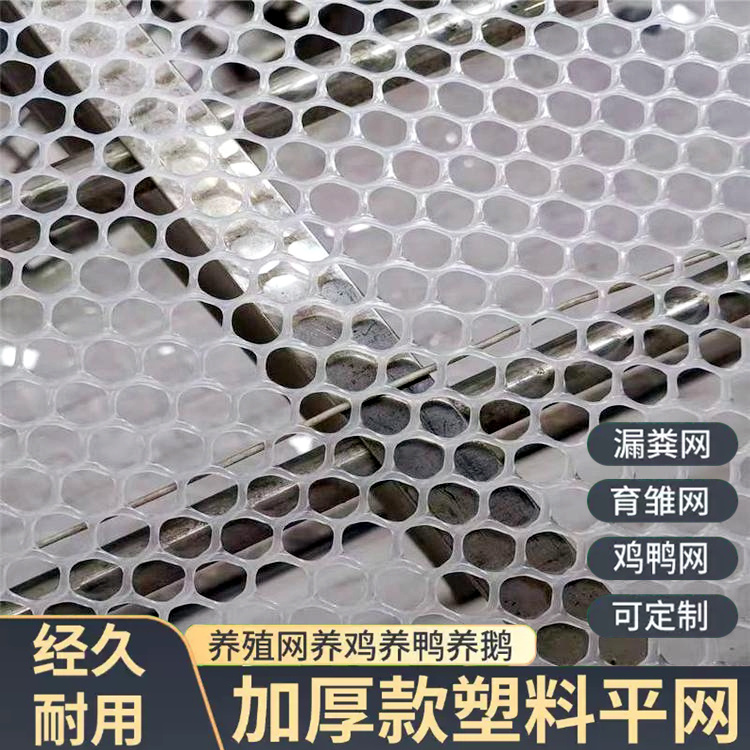 特信 养鸡笼子家用养殖专用网 源头厂家 围菜园的塑料网