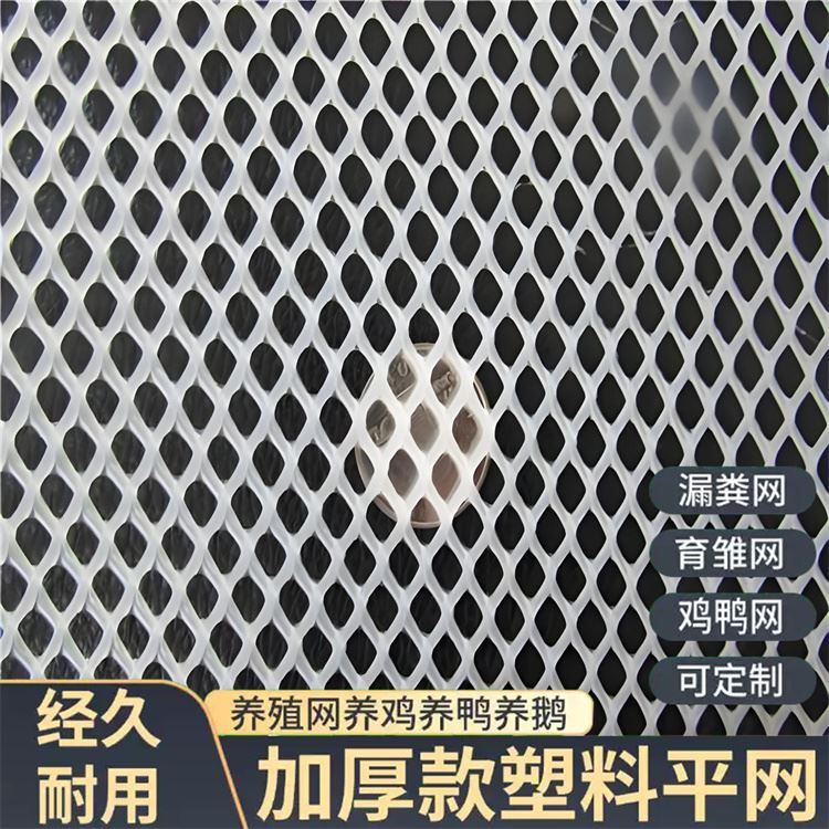 特信 质量优良 塑料平网生产厂家 养鸡笼子家用养殖专用网