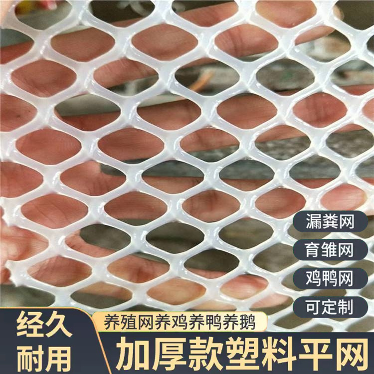 特信 围菜园的塑料网 支持定制 白色大棚育苗网