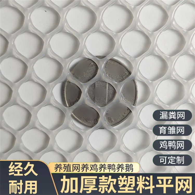特信 坚固耐用 新型养殖用塑料平网 塑胶原料网