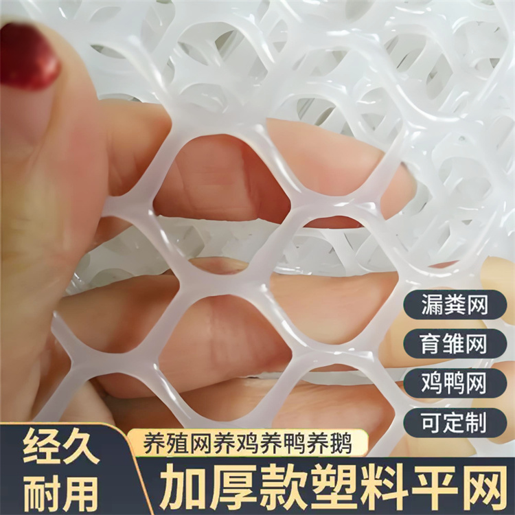 特信 严选材质 养鸡笼子家用养殖专用网 塑料制品网