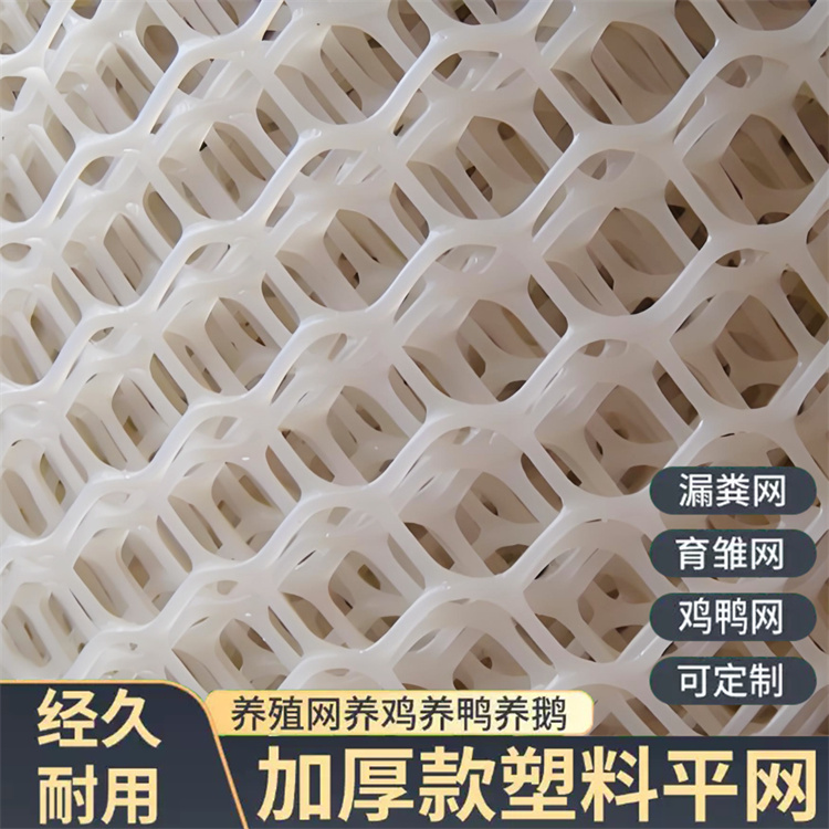 特信 养鸡笼子家用养殖专用网 可开票 工程塑料网