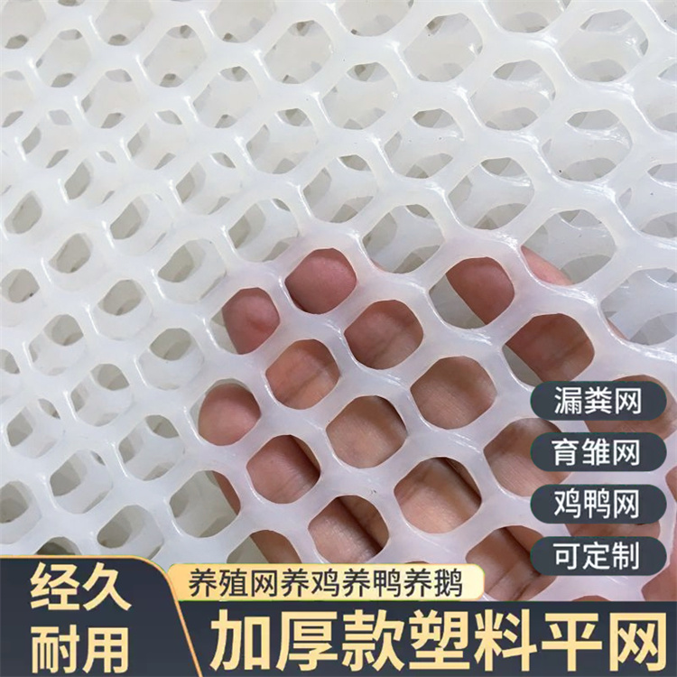 特信 坚固耐用 鸡鸭垫底漏粪网 养鸡笼子家用养殖专用网