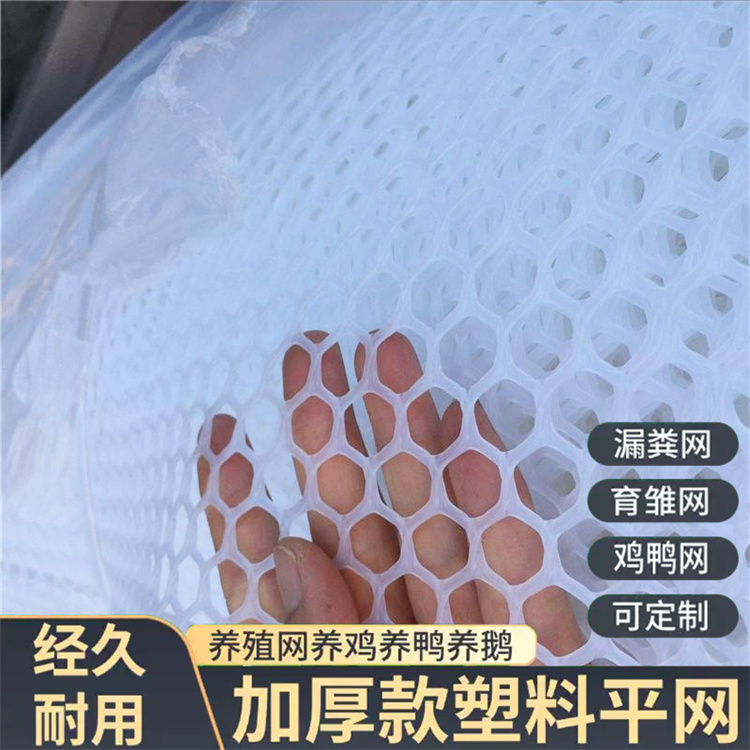 特信 选材优质 养殖漏粪网白色养鸡脚垫 塑料网格网