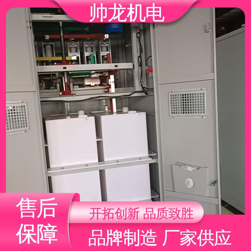 性能稳定 反应迅速 水泥厂/泵站 高压启动器 满足不同客户需求 四 川