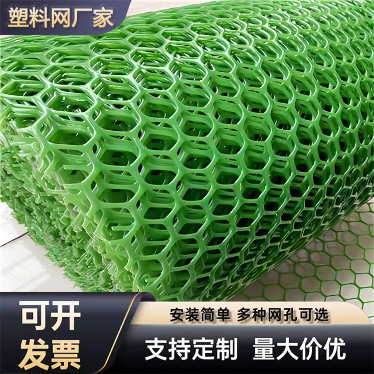 特信 养鸡笼子家用养殖专用网 质量放心 塑胶工业网