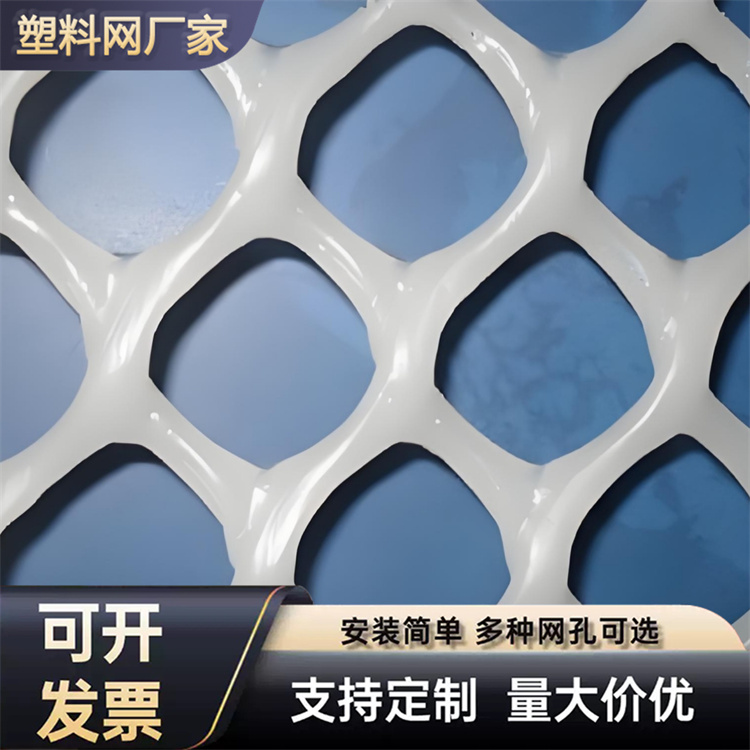 特信 塑料平网 质量放心 养殖漏粪网白色养鸡脚垫