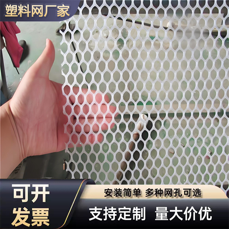 特信 围菜园的塑料网 质量优良 水产养殖网网箱