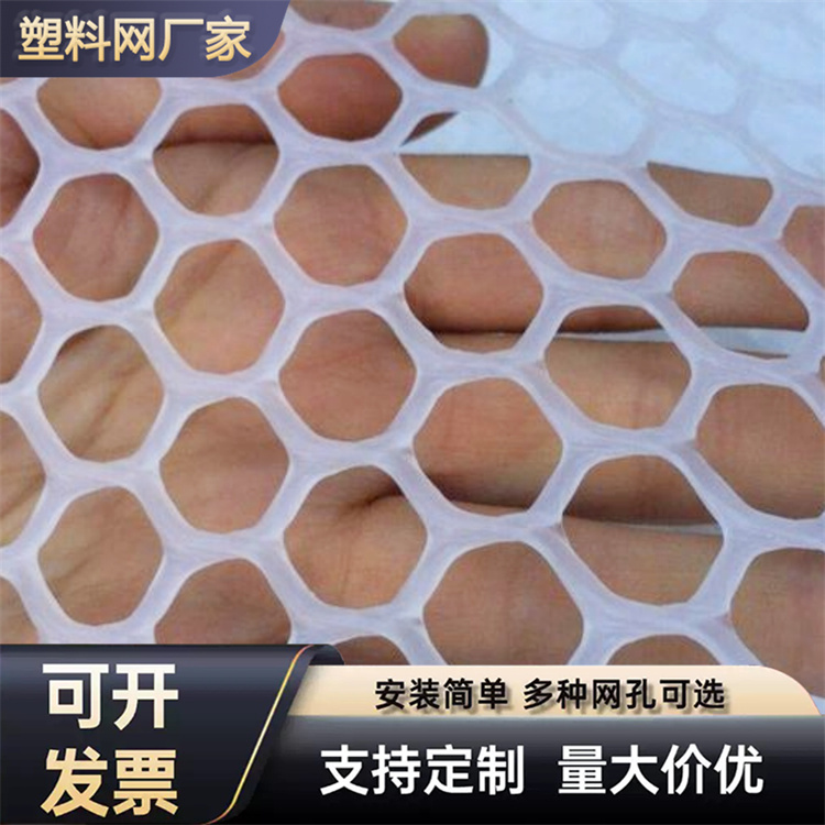 特信 养鸡笼子家用养殖专用网 定制厂家 塑料网