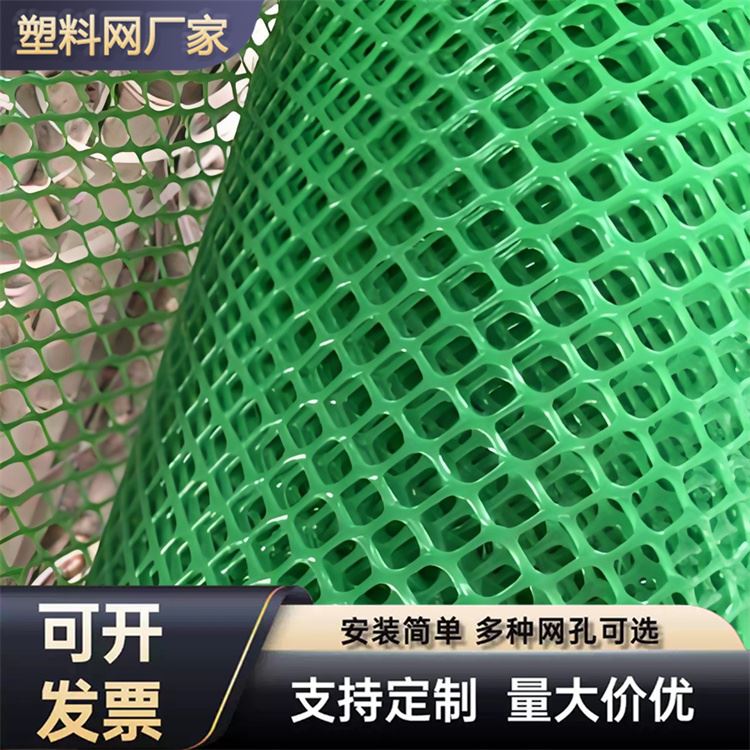 特信 养鸡笼子家用养殖专用网 发货迅速 塑料格栅网