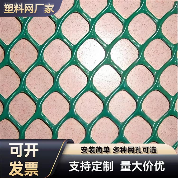 特信 养鸡笼子家用养殖专用网 坚固耐用 围菜园的塑料网