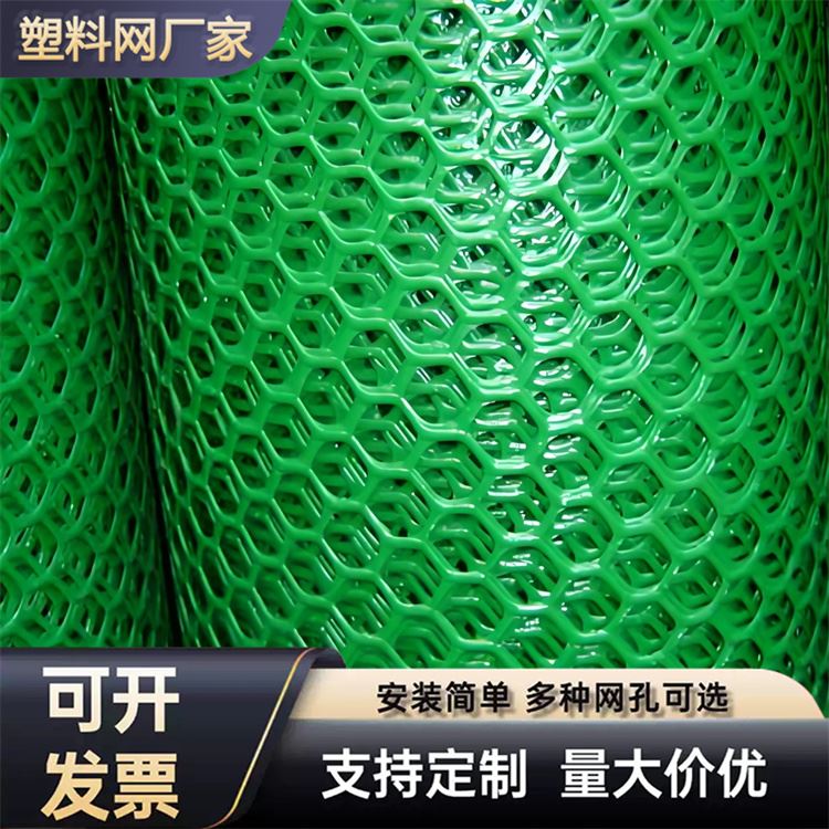 特信 安心施工 养鸡笼子家用养殖专用网 塑料网片