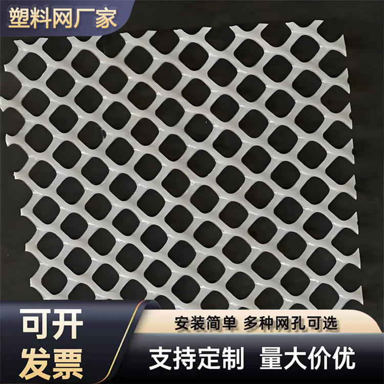特信 养鸡笼子家用养殖专用网 按需定制 塑料网格垫