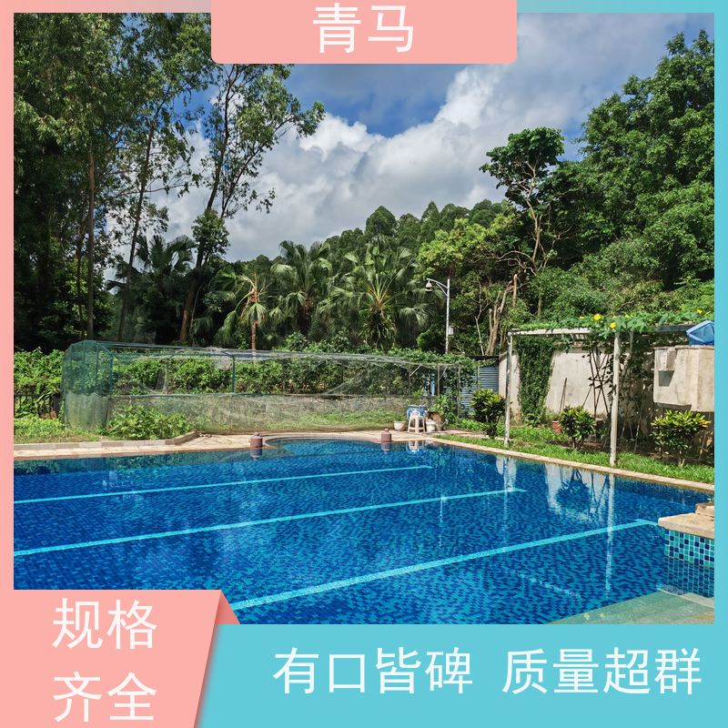青马 豪华游泳池 适用于别墅 设计 施工 维护 一站式服务