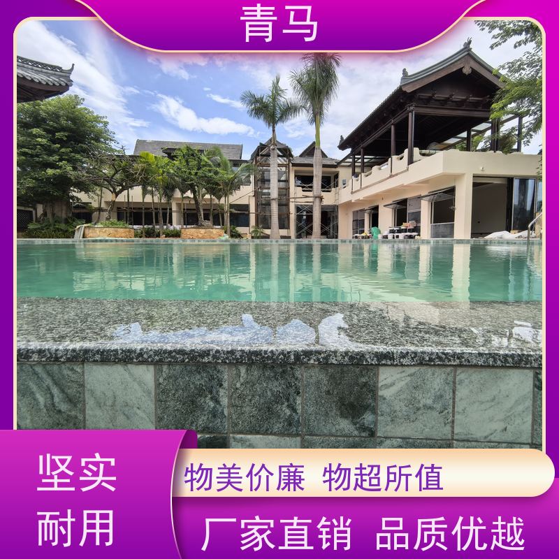 青马 豪华泳池 适用于温泉度假村 现代简约 多种颜色