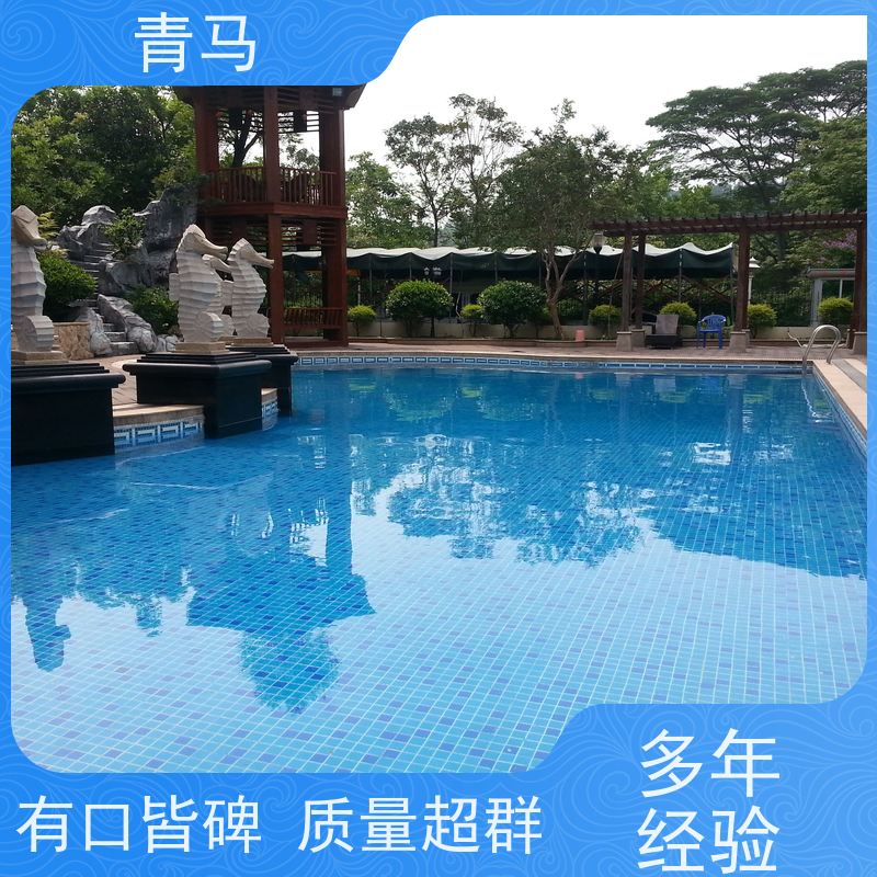 青马 酒店泳池 适用于水上乐园 设计 施工 维护 一站式服务