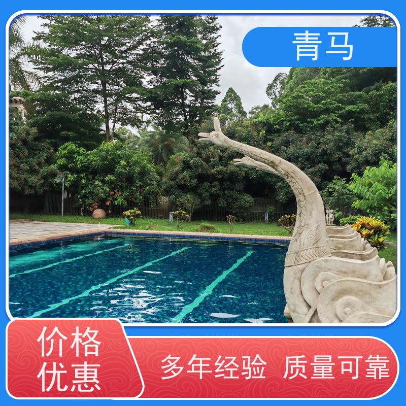 青马 公共游泳池 适用于体育馆 设计 施工 维护 一站式服务
