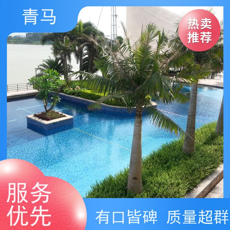 青马 家用游泳池 适用于健身俱乐部 设计 施工 维护 一站式服务