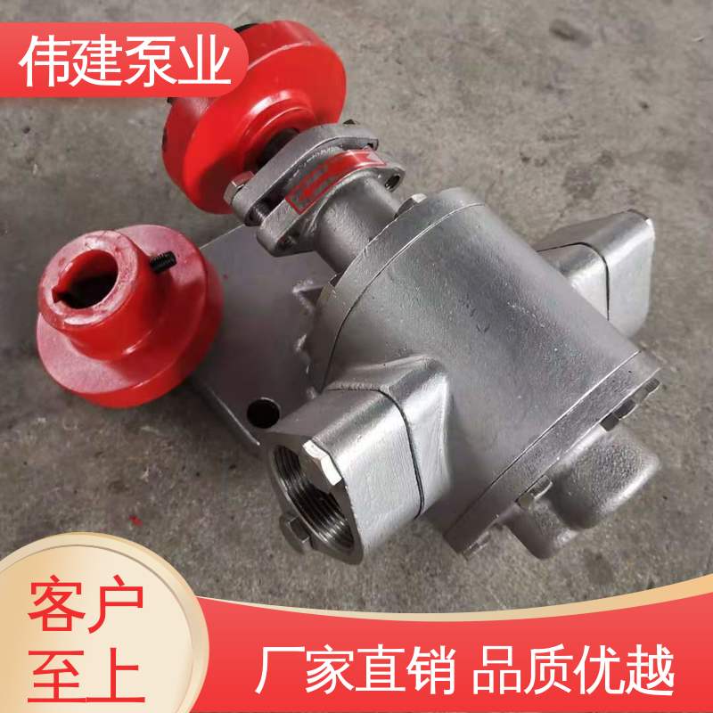 伟建供应 LC50皮带轮罗茨泵 支持定制 运行可靠 润滑油脂沥青输送
