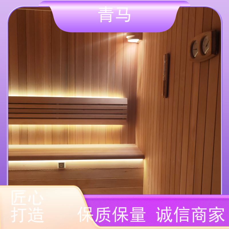 青马 小型干蒸桑拿房 现代简约 支持定制 产品质量保障
