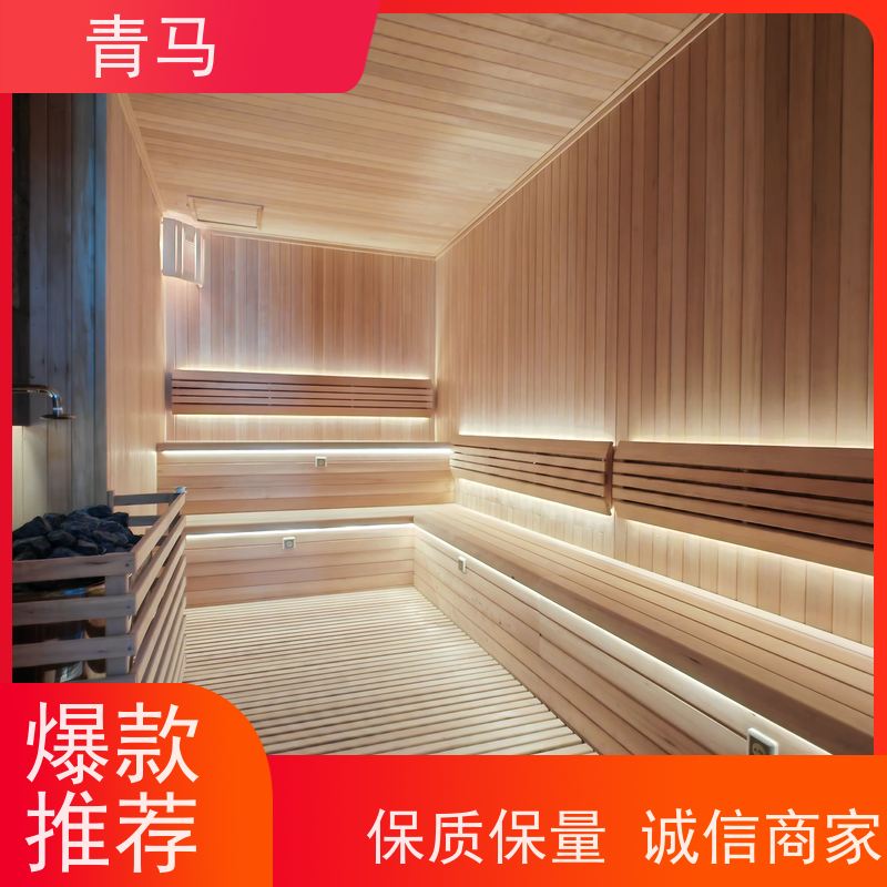 青马 家用汗蒸房定做 现代简约 支持定制 质量过硬