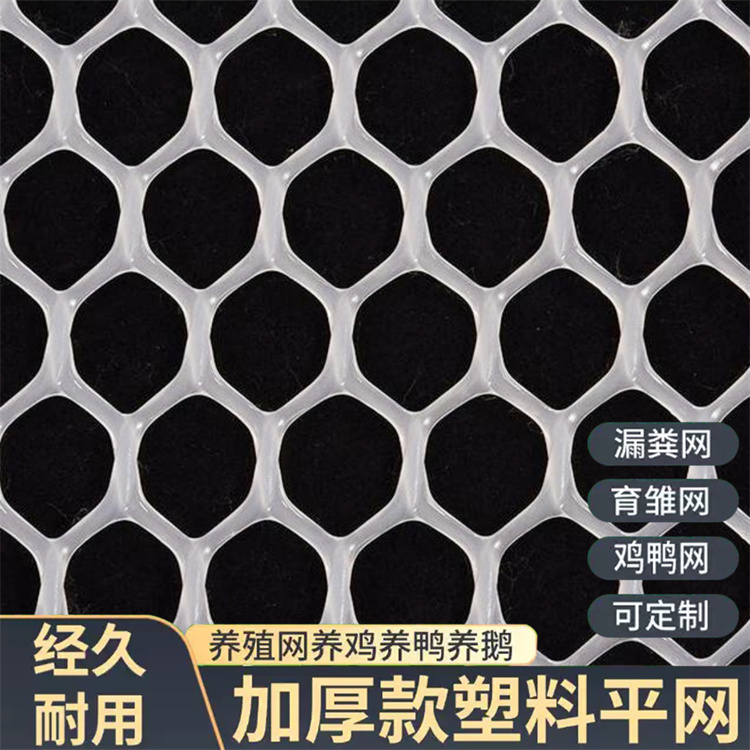 特信 塑料网格网 经久耐用 养鸡笼子家用养殖专用网