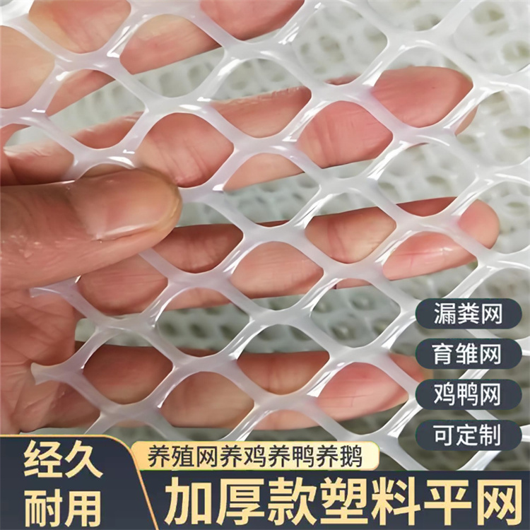 特信 耐腐蚀 养殖漏粪网白色养鸡脚垫 聚乙烯网