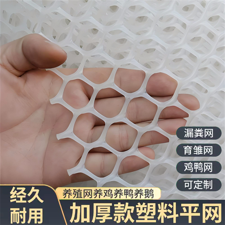 特信 选材优质 晾晒塑料网 养鸡笼子家用养殖专用网