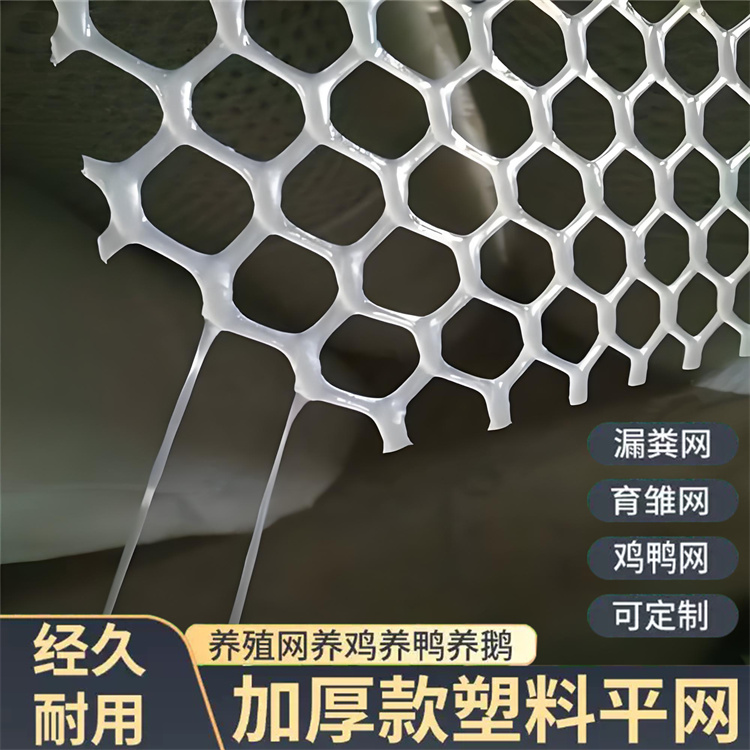 特信 可开票 黑色塑料网 养鸡笼子家用养殖专用网