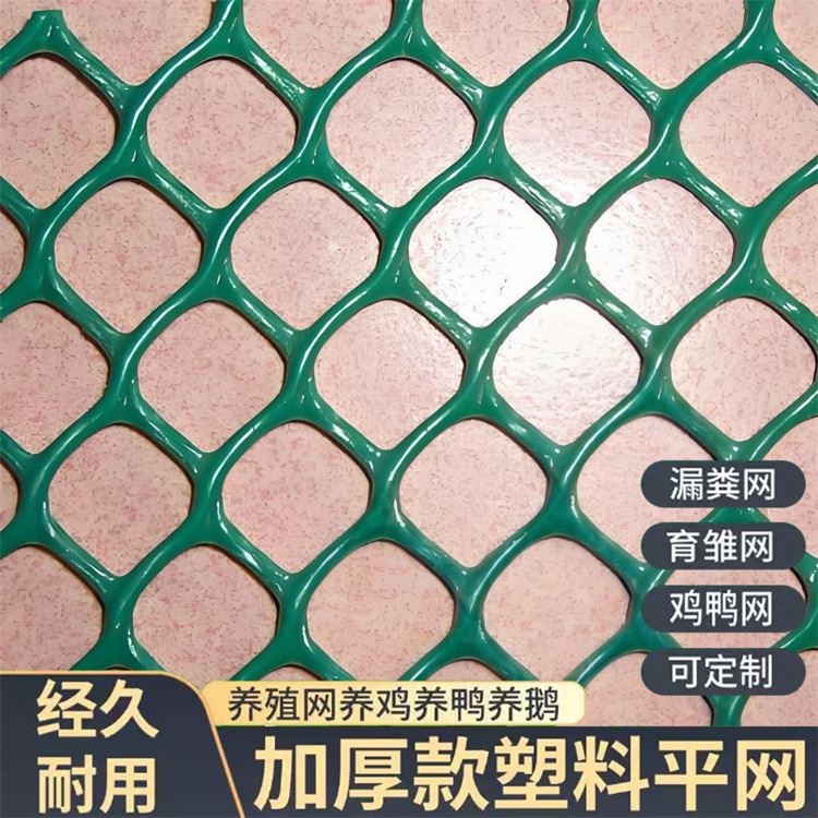 特信 围菜园的塑料网 材质优良 养殖漏粪网白色养鸡脚垫