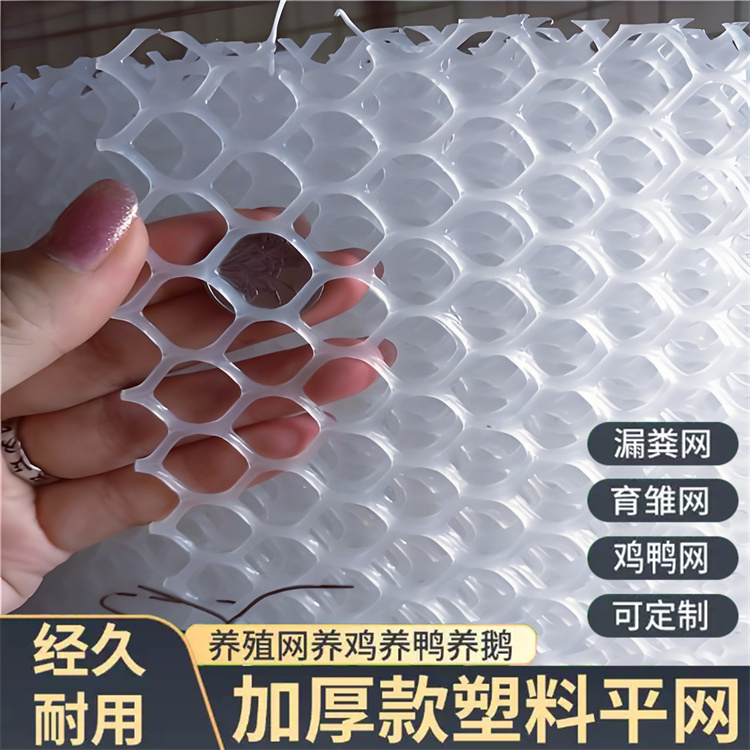 特信 可按需定制 塑料防护网 养鸡笼子家用养殖专用网