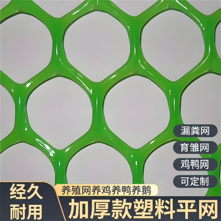 特信 细致打造 养鸡笼子家用养殖专用网 围菜园的塑料网