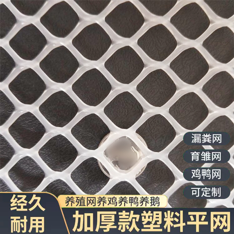 特信 规模生产 平台网 养鸡笼子家用养殖专用网