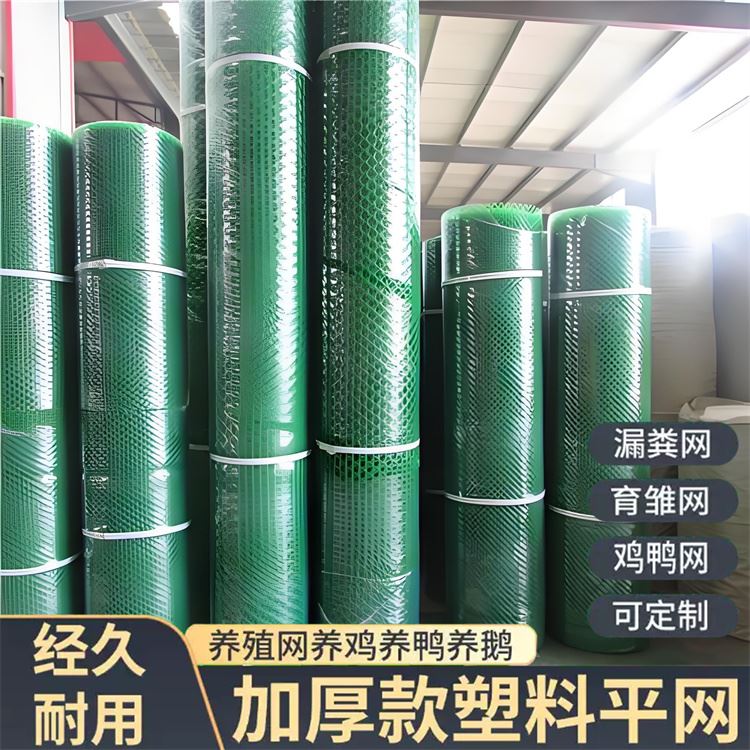 特信 安全可靠 塑料制品网 养鸡笼子家用养殖专用网