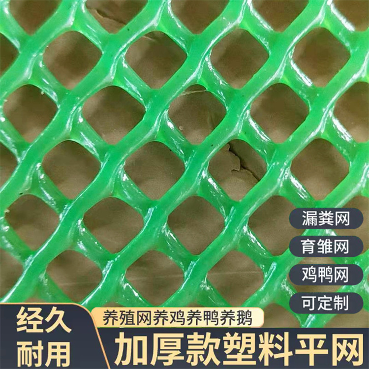 特信 塑料网 坚固耐用 养殖漏粪网白色养鸡脚垫