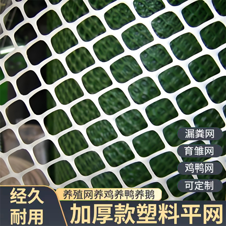 特信 现货充足 白色大棚育苗网 围菜园的塑料网
