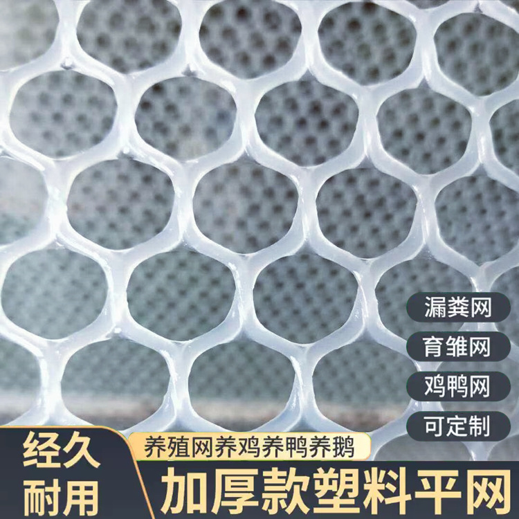 特信 经久耐用 农村养殖场用网 围菜园的塑料网