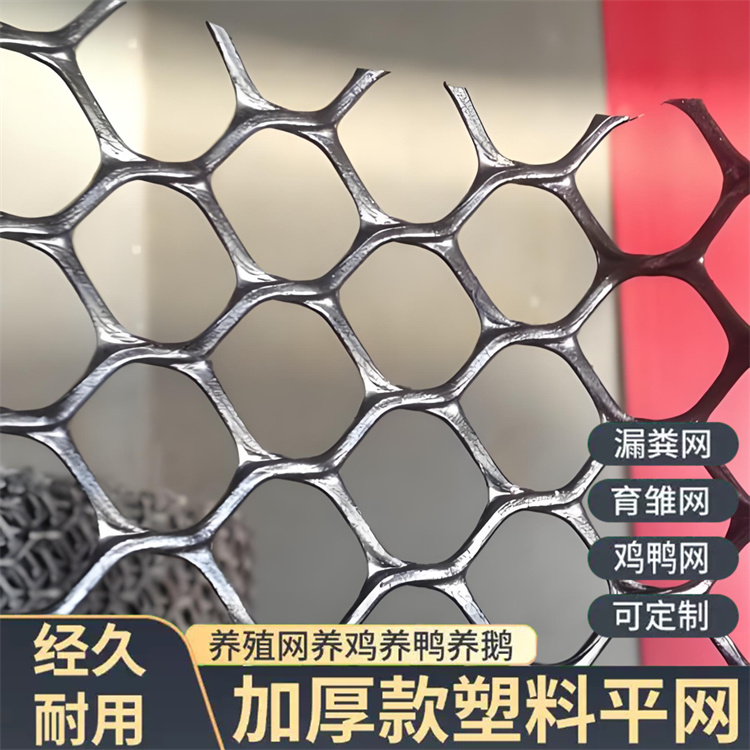 特信 安全可靠 塑料网片 养鸡笼子家用养殖专用网