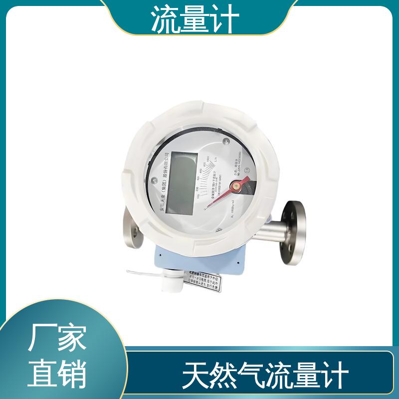 天康 TK2100 氨气流量计 耐压等级高 规模生产 支持定制