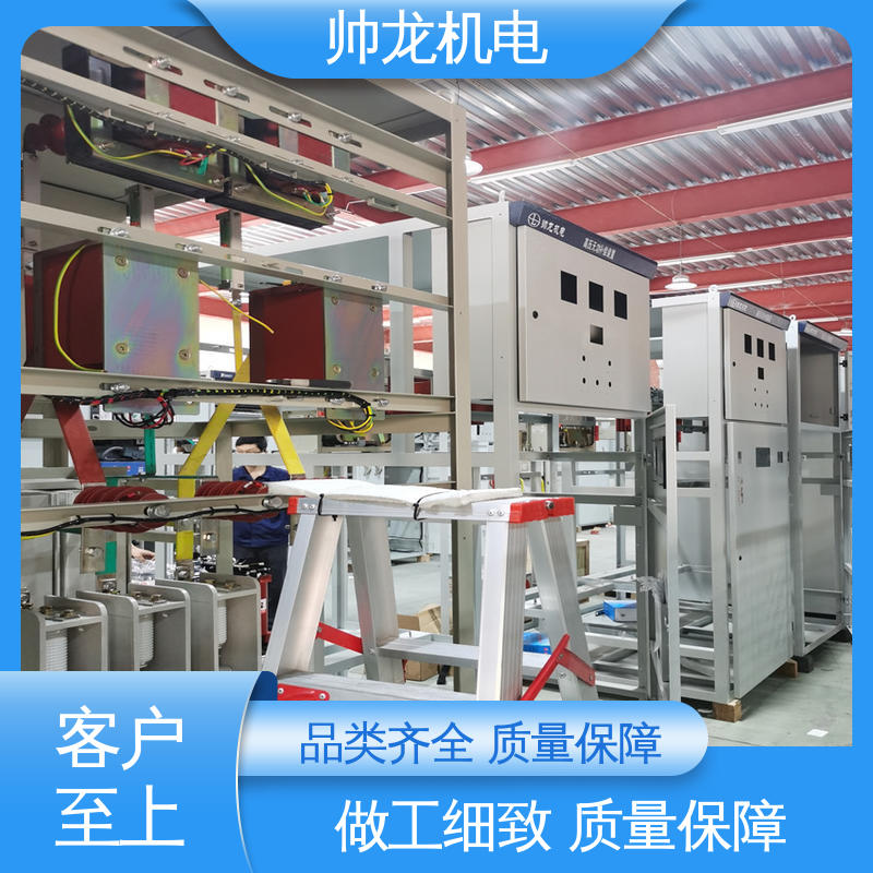 湖 北帅龙机电 10kv高压 集中补偿装置 精工细作 实力品质