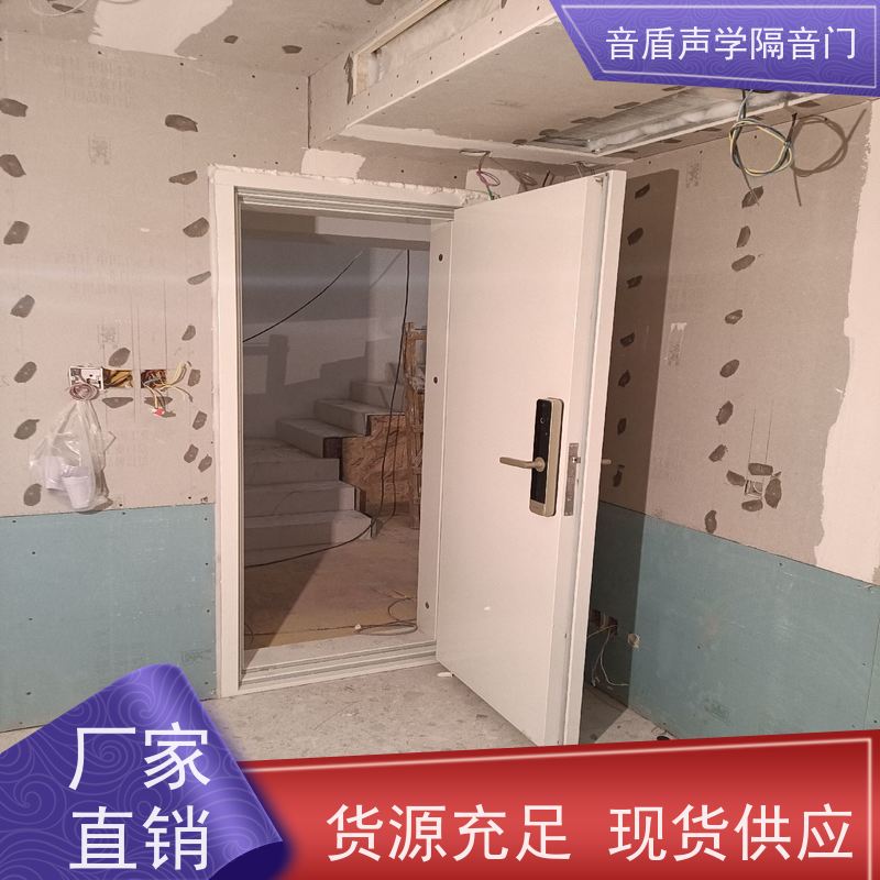 音盾声学 钢质木纹 防火隔音门 品质保证 定制生产厂家