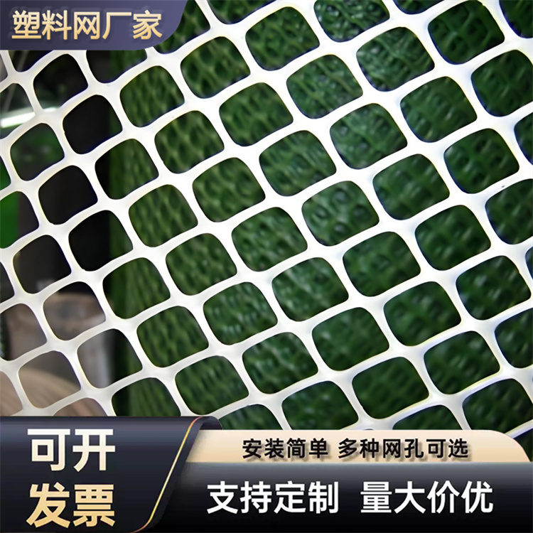 特信 养鸡笼子家用养殖专用网 稳固耐用 聚乙烯纯网