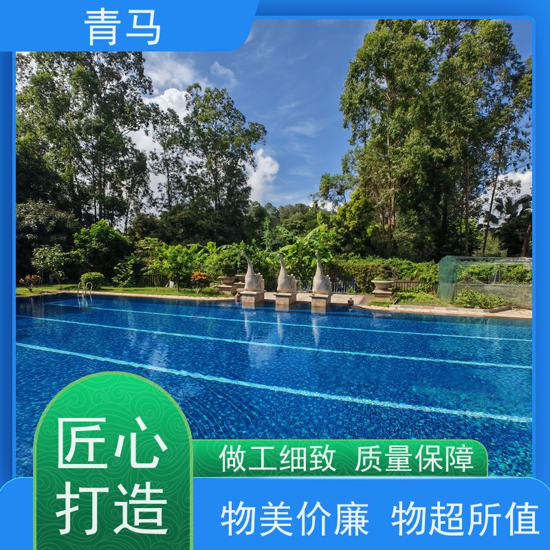 青马 学校泳池 适用于星级酒店 设计 施工 维护 一站式服务