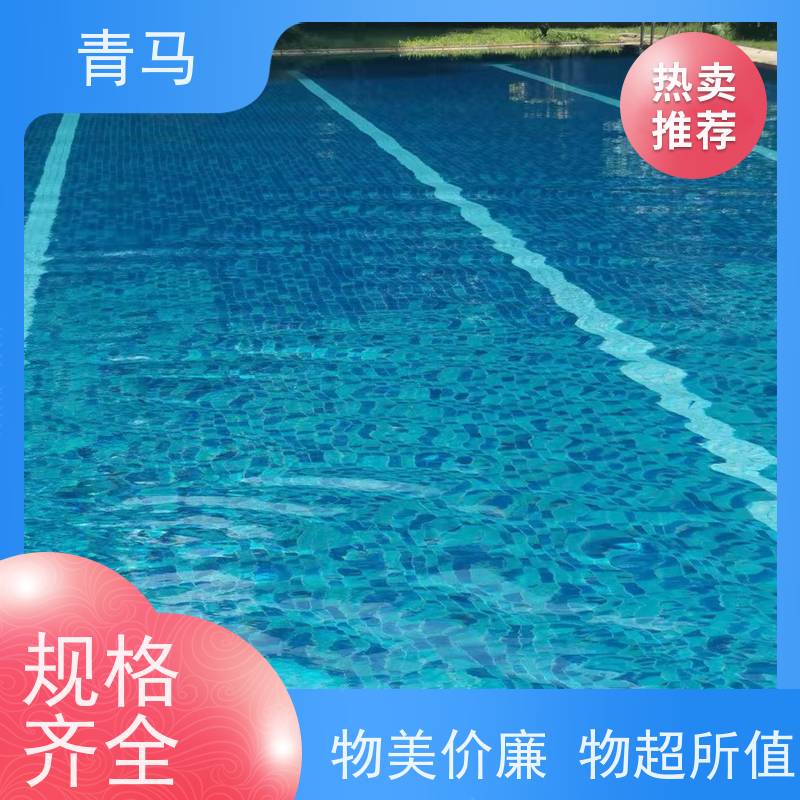 青马 成人游泳池 适用于体育馆 设计 施工 维护 一站式服务