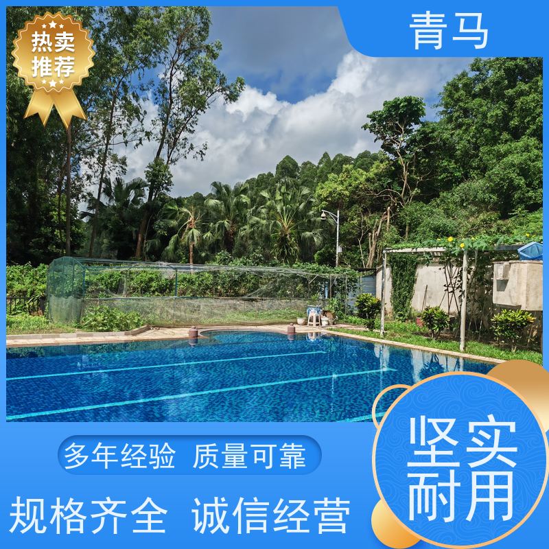 青马 别墅游泳池 适用于小区民宿 设计 施工 维护 一站式服务