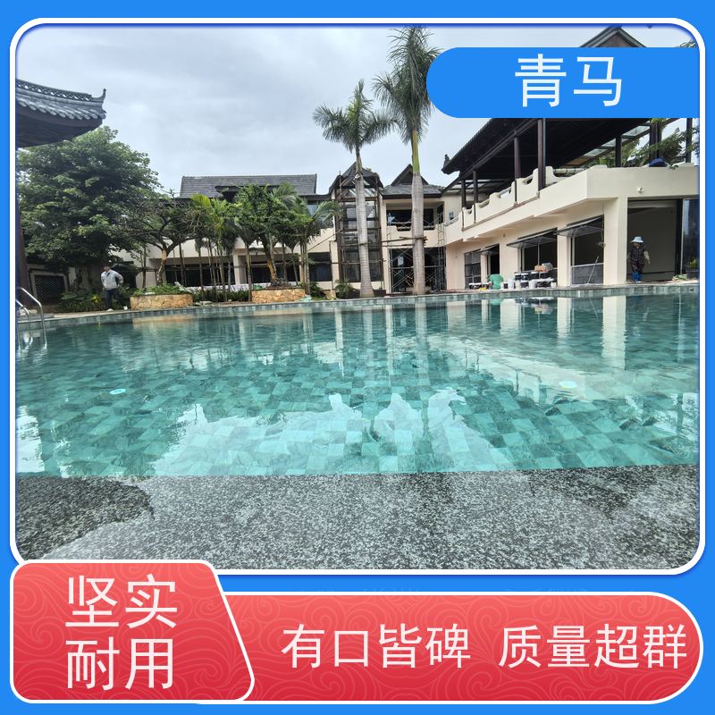 青马 酒店泳池 适用于健身俱乐部 现代简约 多种颜色
